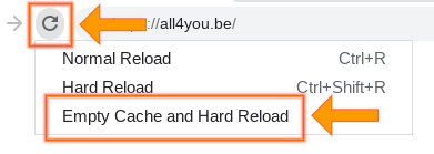 Beispiel zum Leeren des Caches in Chromium-basierten Browsern