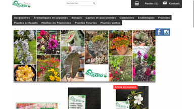 Multiplantes