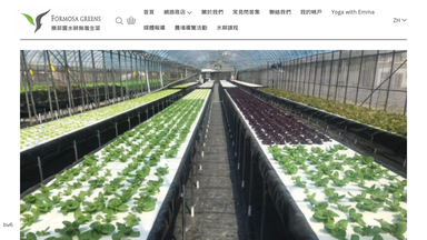 Formosa Greens 樂菲園水耕無毒蔬菜